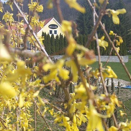 Penzion Kormoran Vranov nad Dyjí Buitenkant foto